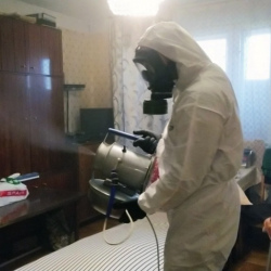 Дезинфекция от клопов в Зубцове