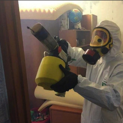 Уничтожение клопов в квартире. Зубцов